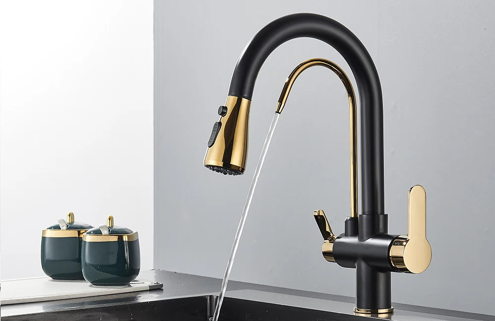 Quyanre Matte Black Filtered Crane For Kitchen Pull Out Spray 360 Rotation Water Filter Tap Three Ways Sink Mixer Kitchen Faucet