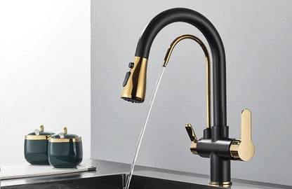 Quyanre Matte Black Filtered Crane For Kitchen Pull Out Spray 360 Rotation Water Filter Tap Three Ways Sink Mixer Kitchen Faucet