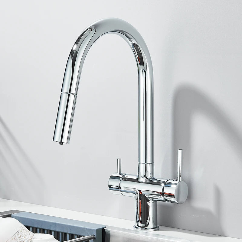 Filter Kitchen Faucet Pull Out Flexible Drinking Water Kitchen Faucets Dual Handle Metal 2 in 1 Hot Cold Water Mixer Tap