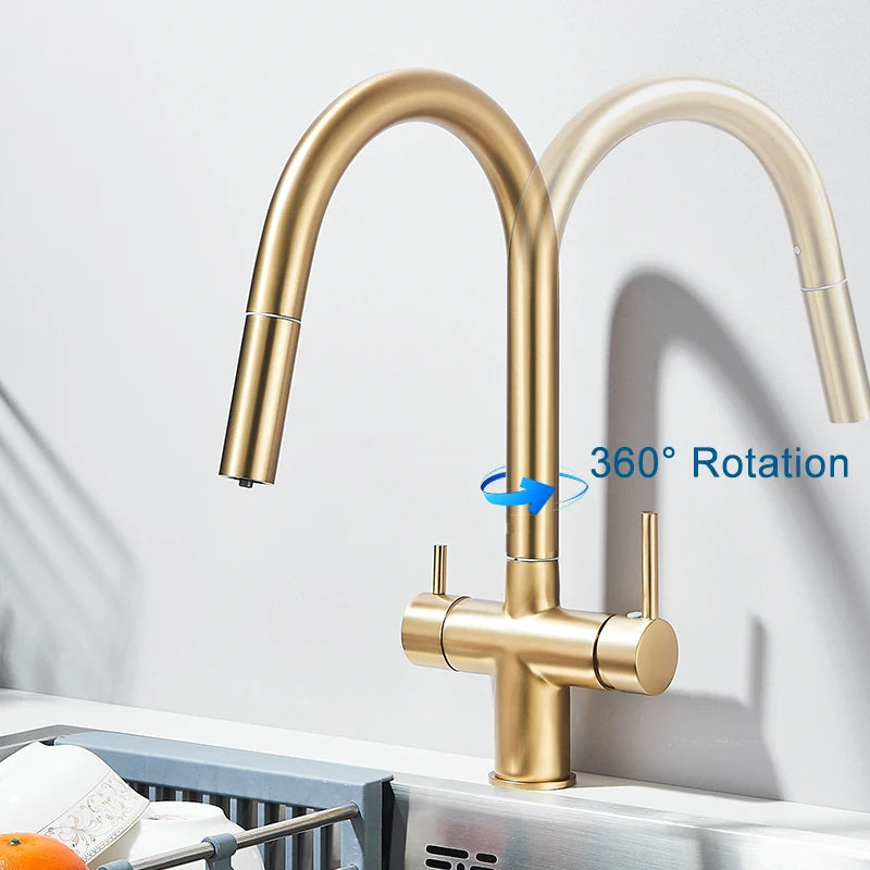 Filter Kitchen Faucet Pull Out Flexible Drinking Water Kitchen Faucets Dual Handle Metal 2 in 1 Hot Cold Water Mixer Tap