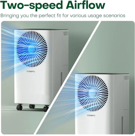 Dehumidifier 12 L/Day, Car Dehumidification, 24H Timer On/Off, Continuous Drainage, Room Dehumidifier, Suitable for Home/Basemen.