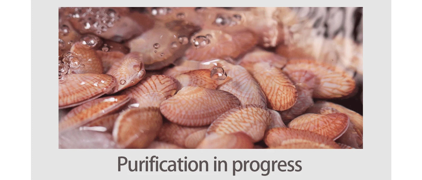 ASRAS Kitchen Sink Stainless Steel Nano Grey Kitchen Sink with Built-in Food Purifier, Hidden Cover & Adjustable Lift Faucet