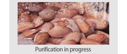 ASRAS high-quality 304 stainless steel multifunctional kitchen sink intelligent food purification large-sized sink nano gray