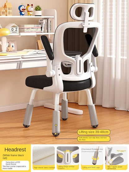 Computerstuhl, Heimsitz, Taille, Studentenschreibtisch, Arbeitsstuhl mit Lift und verstellbarer Rückenlehne