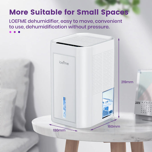 LOEFME Silent Dehumidifier 1.0L Portable Air Double Dehumidifier Dryer with LED Light Area 5–20m² for Home Bedroom living Room.