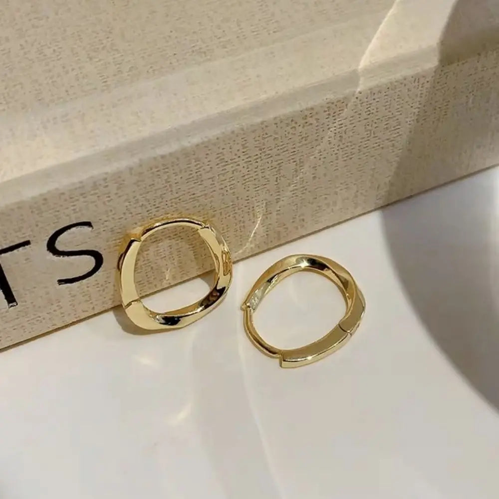 Mariasz Minimalist New Hot Sell Trendy Plated Gold Color Circle Earrings for Women Ear Hoop Earring Classic Jewelry.