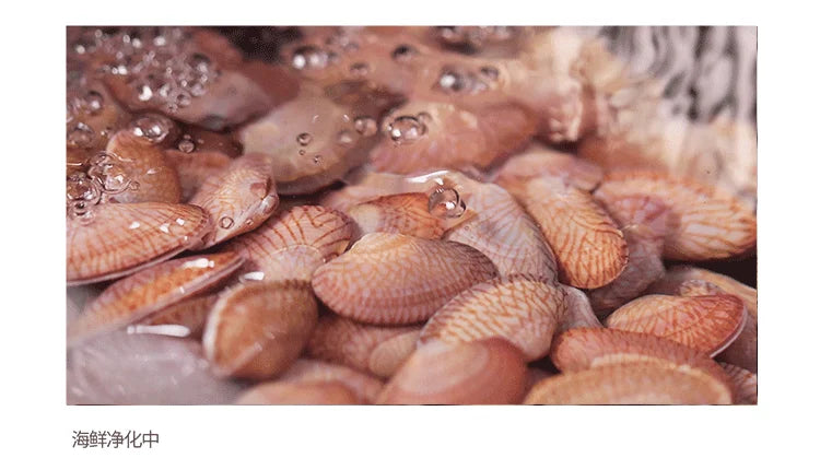 ASRAS Large Size Smart Purifying Kitchen Sink Handmade Step Sink Smart Purifying Kitchen Island Sinks 11550 NJH