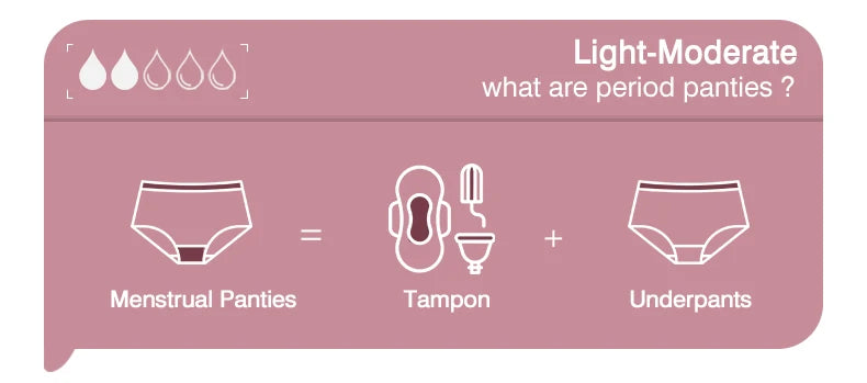 Bikini Menstrual Panties Eco-friendly Reusable Breathable Leakproof Period Underwear for Women Bamboo Fibre.