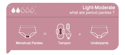 Bikini Menstrual Panties Eco-friendly Reusable Breathable Leakproof Period Underwear for Women Bamboo Fibre.