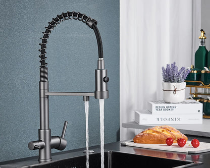 Black Filtered Kitchen Water Filter Kitchen Faucets Dual Spout Filter Faucet Mixer Water Purification Water Crane For Kitchen