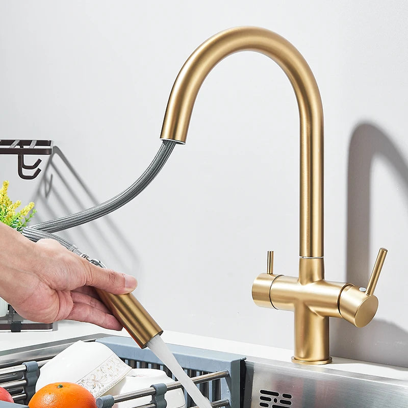 Filter Kitchen Faucet Pull Out Flexible Drinking Water Kitchen Faucets Dual Handle Metal 2 in 1 Hot Cold Water Mixer Tap