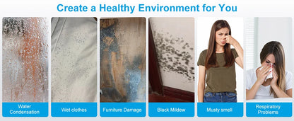 LOEFME 2L Dehumidifier Moisture Absorbers Home Air Dryer Electric Dehumidifier 12L/Day Dehumidification Timer 3 Modes W/ 3M Hose.