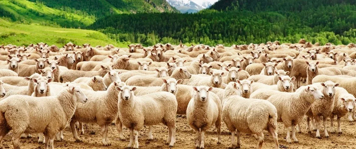 4Pairs/Lot Men's Winter Super Thick Thermal Socks Wool Men Women Solid High Quality Merino Wool Socks Cold Snow Warm Wool Socks.