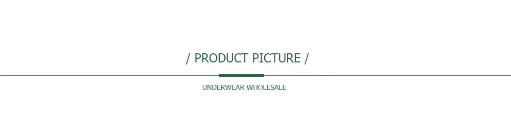 Lady Underwear 5 PCS/SET Sexy Lace Underpants Fashion Female M-XL Women Panties Cotton Briefs.