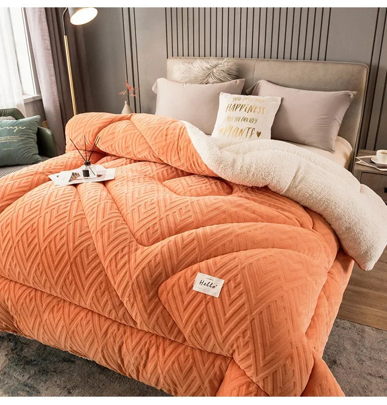 Super Warm Lamb Wool Quilt Winter Thickened Cotton Quilt Warm Cotton Double Sided Velvet Soft Extra Large Blanket 이불.
