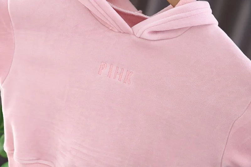 Baby Girls Warm Set Autumn Winter Lining Plush Thick Outfits Kids Cartoon Rabbit Ear Hoodie+Pants 2Pcs Children Casual Clothing.