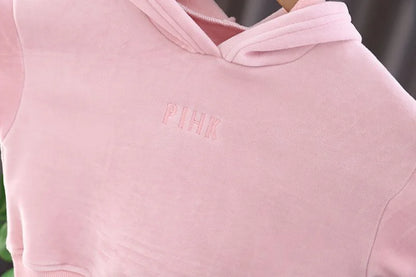 Baby Girls Warm Set Autumn Winter Lining Plush Thick Outfits Kids Cartoon Rabbit Ear Hoodie+Pants 2Pcs Children Casual Clothing.