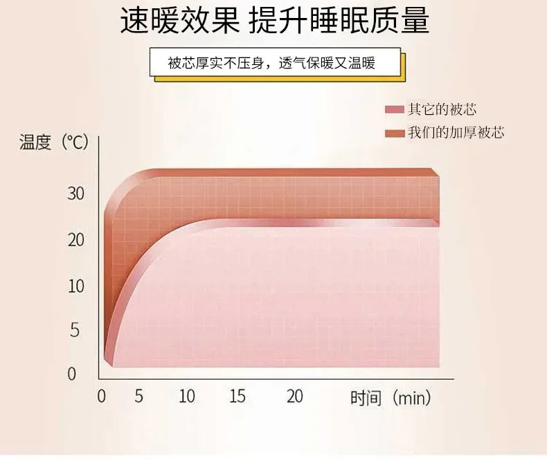 Super Warm Lamb Wool Quilt Winter Thickened Cotton Quilt Warm Cotton Double Sided Velvet Soft Extra Large Blanket 이불.