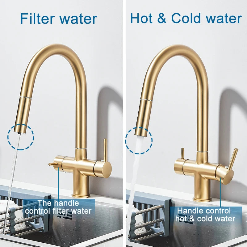 Filter Kitchen Faucet Pull Out Flexible Drinking Water Kitchen Faucets Dual Handle Metal 2 in 1 Hot Cold Water Mixer Tap