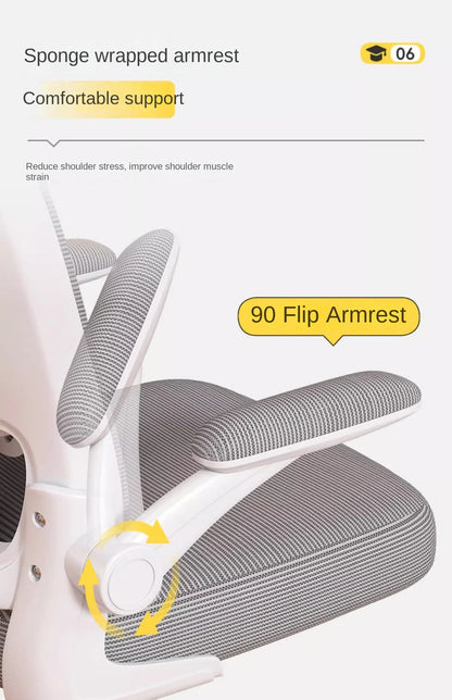 Computerstuhl, Heimsitz, Taille, Studentenschreibtisch, Arbeitsstuhl mit Lift und verstellbarer Rückenlehne