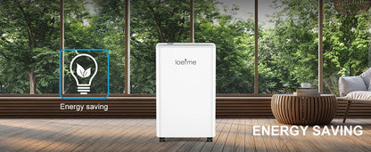 LOEFME 2L Dehumidifier Moisture Absorbers Home Air Dryer Electric Dehumidifier 12L/Day Dehumidification Timer 3 Modes W/ 3M Hose.