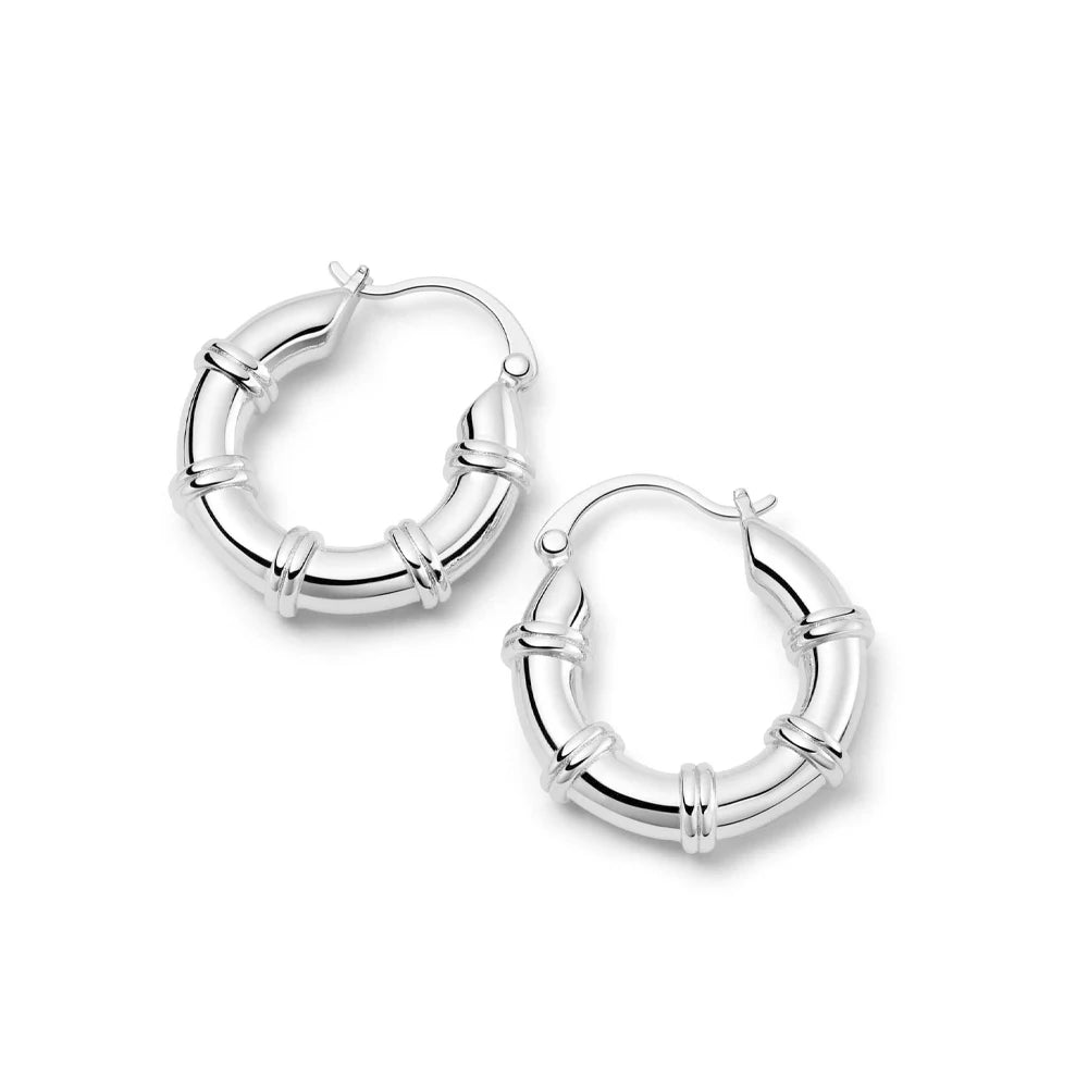 20mm Stainless Steel Hoop Earrings for Women Smooth Metal Round Chunky Ear Buckle Huggie Earrings Jewelry Accessories Wholesale.