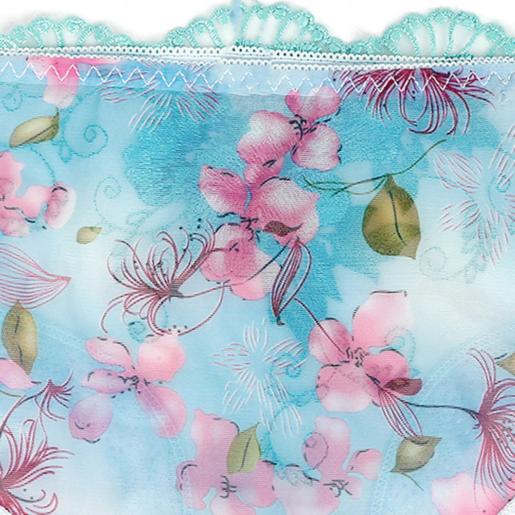 Briefs Underwear Lace M-3XL Nylon Panties Pink Purple Red Rose Red Transparent Underwear Black White New Stylish.