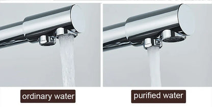 Balck Kitchen Filtered Faucet Brass Purifier Faucet Dual Sprayer Drinking Water Beige with Dot Vessel Sink Mixer Tap Torneira