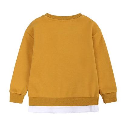 Korean Baby Clothing Sets Spring Autumn Toddler Boy Girl Cartoon Car Lightning Mcqueen Tracksuit Pullover Pants 2PCS Suit Outfit.