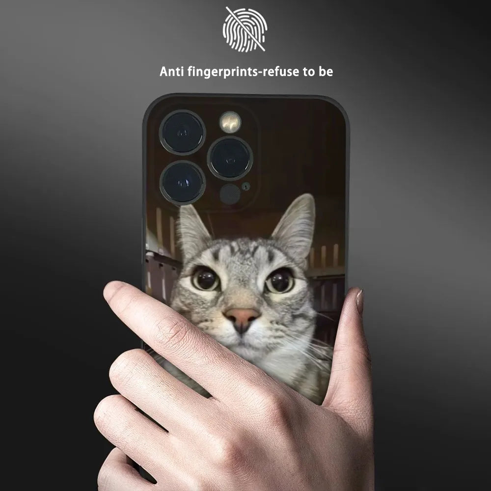 Pet Cat Funny memes Phone Case For iPhone 16 15 14 13 Pro Max Plus Mini Frosted Soft Shell Funda.
