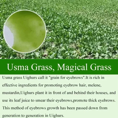 Eyebrow Growth Serum Eyelash Hair Growth Anti Hairs Loss Product Prevent Baldness Fuller Thicker Lengthening Eyebrow Makeup.