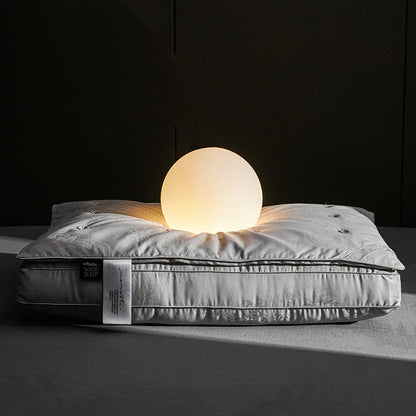 Pure Cotton Satin Jacquard Silk Pillows 48*74cm Mulberry silk Filling Anti Mite Soft Fluffy Hotel Sleeping Bedding Pillows.