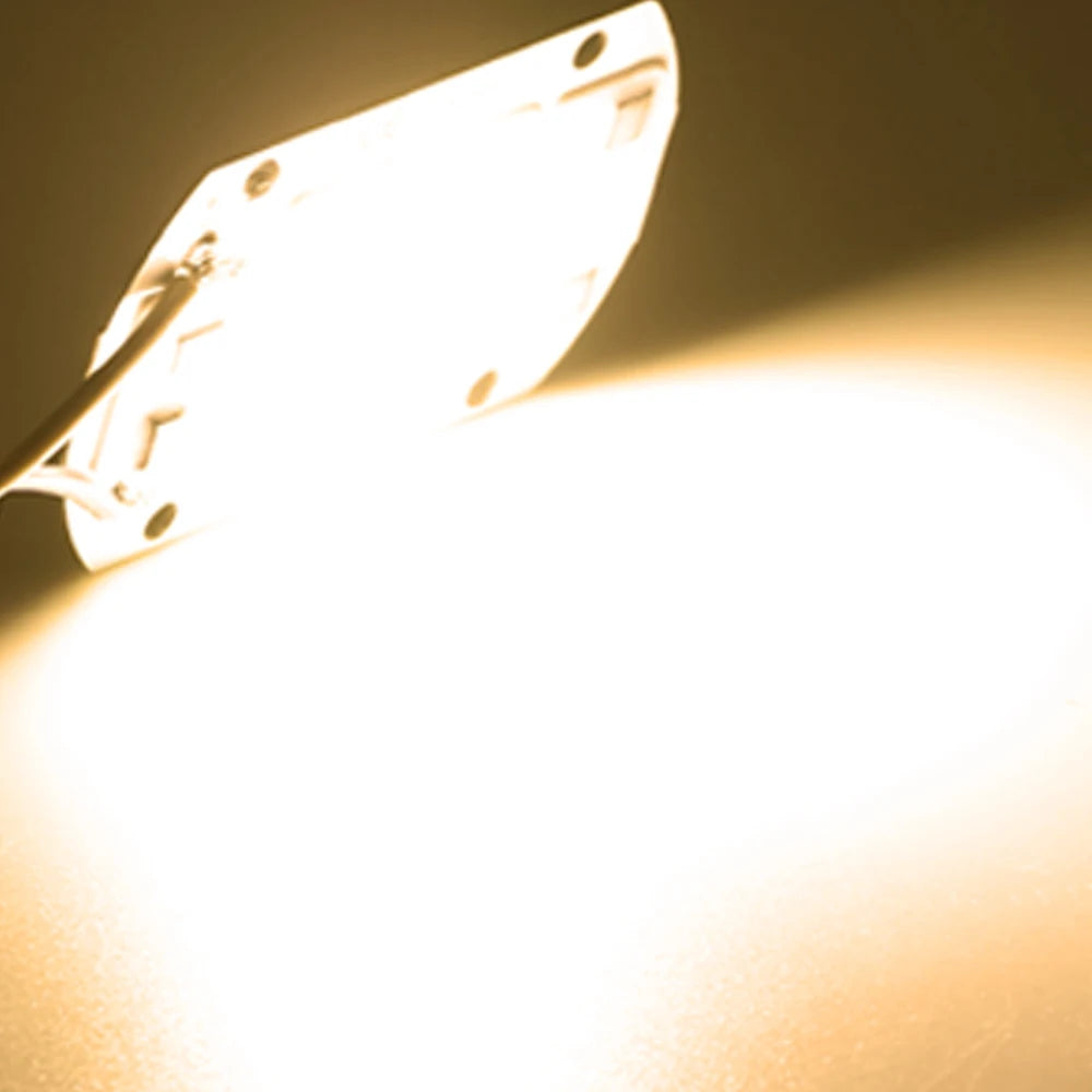 COB Chip LED Lampe 220V 10W 20W 30W 50W Smart IC Keine Notwendigkeit Fahrer Lampada LED Birne Lampe Für Flutlicht Scheinwerfer Diy Beleuchtung