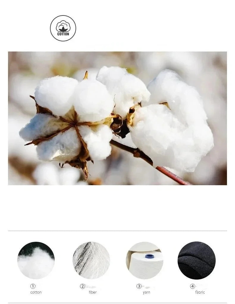 20Pcs/Lot Men's Pure Cotton Socks Plus Size Solid Color Casual Office Business Long Socks Breathable Soft Men's Socks EU39-48.