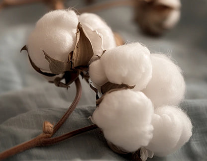 nordic quilt cotton 100% double bed comforters winter comforters King size duvet 220x240 cm winter Plaid comforter queen single.