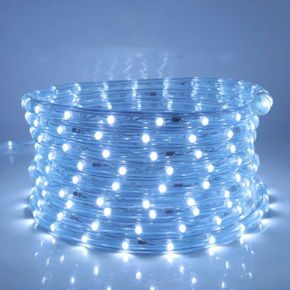 110V 220V Rainbow LED Round 2 Wire Srtip Light 30 36LED Yellow Red Blue Warm Outdoor Waterproof Christmas Party Decor EU US Plug.