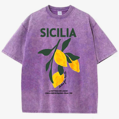 Amalfi Coast Italia Lemon Fruit Design Women Washed T-Shirts Y2K Casual T Shirt Summer Hip Hop Top Cotton Loose Short Sleeve