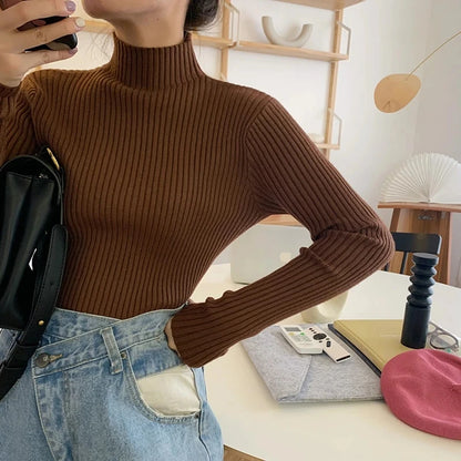 2025 Knit Jumpers Top Chic Autumn Winter Sweater Pullovers Women Long Sleeve Casual Turtleneck Warm Basic Sweater.