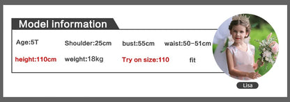 2025 Neues Sommer-Blumenmädchen-Abschluss-Performance-Frack, besticktes Partykleid, nachgestellter Tüll, 3–11 Jahre alt, das Mädchenkleid.