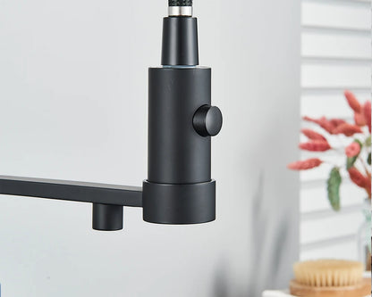 Black Filtered Kitchen Water Filter Kitchen Faucets Dual Spout Filter Faucet Mixer Water Purification Water Crane For Kitchen