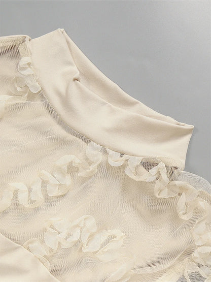 Sommer 2025, langärmlige Damen-Mesh-Bluse mit Spitzenbesatz, Rundhalsausschnitt, vielseitiges, dünnes Modell-Bottom-Shirt