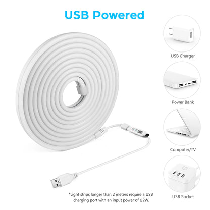 1M 2M 3M 5M RGB Neon LED Strip Light Bluetooth/IR Remote Control 5V Smart USB Silica Gel Tube LED Neon Light Room Decor Lamp.