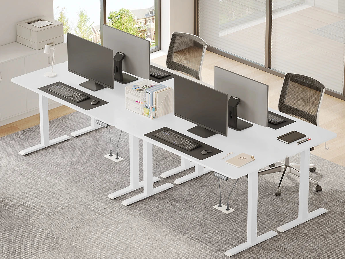 WOLTU Elektrischer stehender Computertisch, höhenverstellbarer, ergonomischer Arbeitstisch mit USB-Ladeanschluss und Speichersteuerung