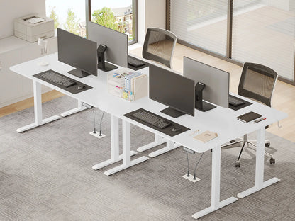 WOLTU Elektrischer stehender Computertisch, höhenverstellbarer, ergonomischer Arbeitstisch mit USB-Ladeanschluss und Speichersteuerung