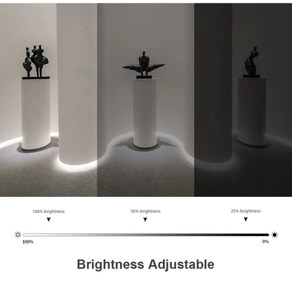 Waterproof COB LED Strip Lights 24V Flexible Neon Light Black Silicone Tube Linear Dimmable Lighting with Touch Sensor Switch.