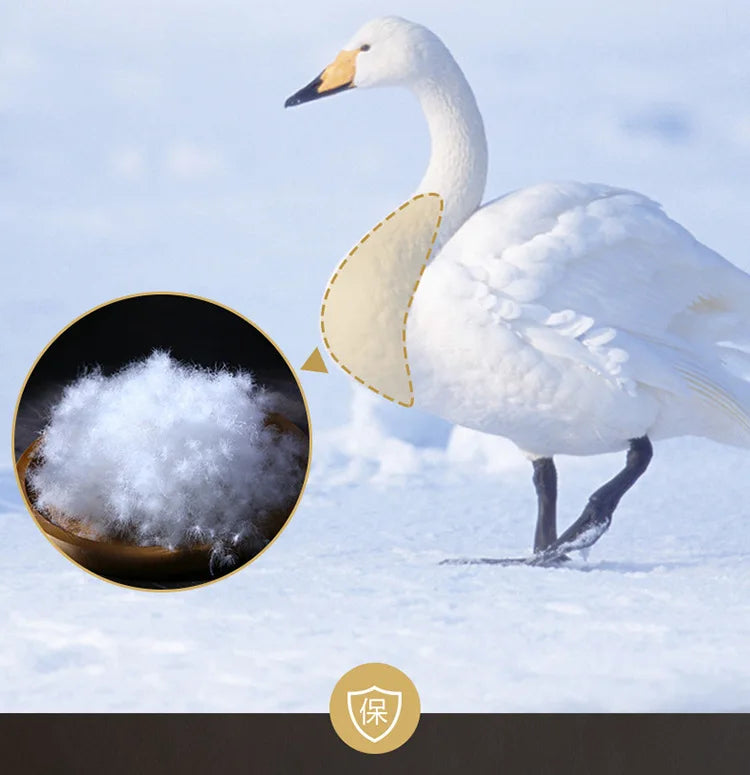 Down duvet 95 white goose down five-star hotel warm double single duvet core goose down duvet.