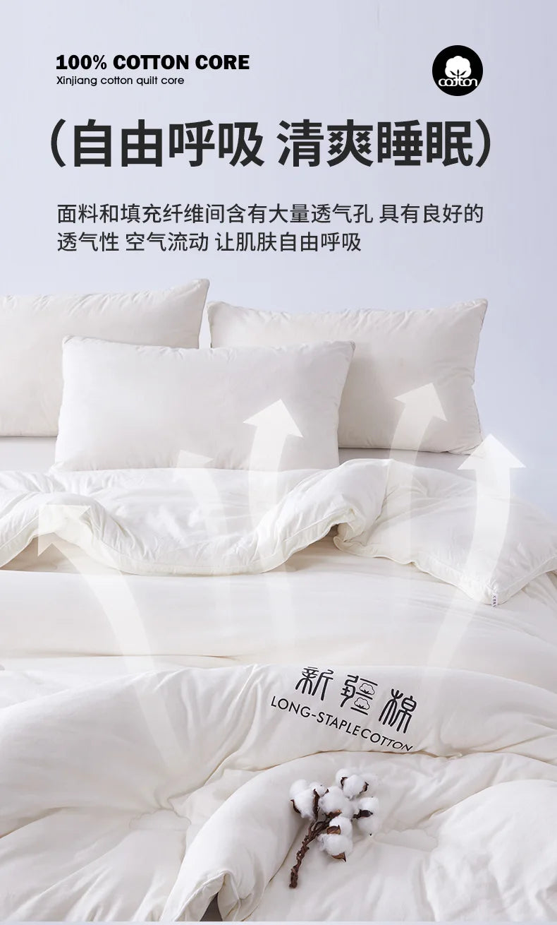 2025 new class A Xinjiang cotton thickened winter quilt spring and autumn quilt pure cotton quilt student dormitory warm.