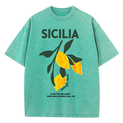Amalfi Coast Italia Lemon Fruit Design Women Washed T-Shirts Y2K Casual T Shirt Summer Hip Hop Top Cotton Loose Short Sleeve