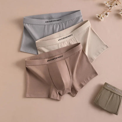 3PCS Sport Boxer Mann Atmungsaktive Geschenk Sportliche Boxer männer Platz Höschen Sexy Männer Unterwäsche Unterhose Briefs Shorts unterwäsche