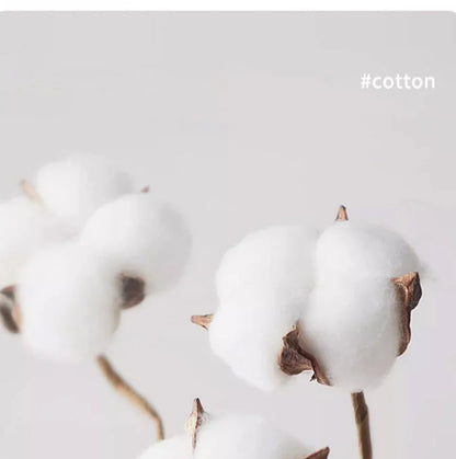 100% pure cotton summer high-end brand men's short sleeve round neck fashionable style half sleeved top breathable T-shirt.